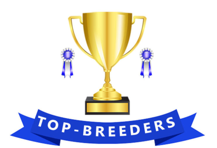TOP BREEDERS